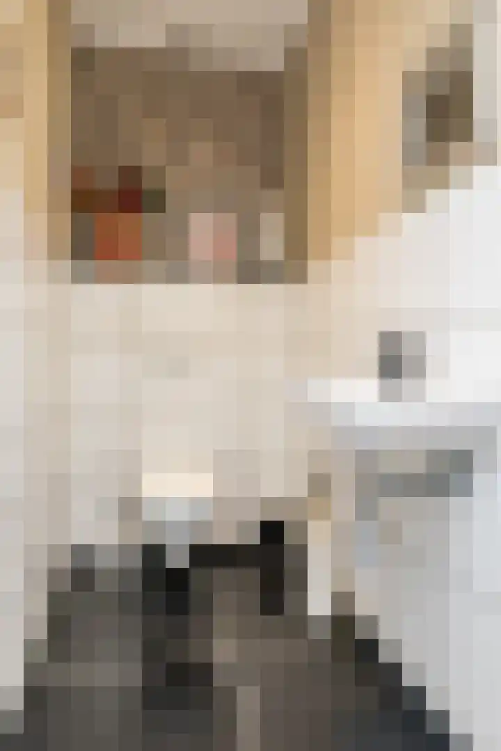 Mesweg 4 Hulsberg thumbnail 19