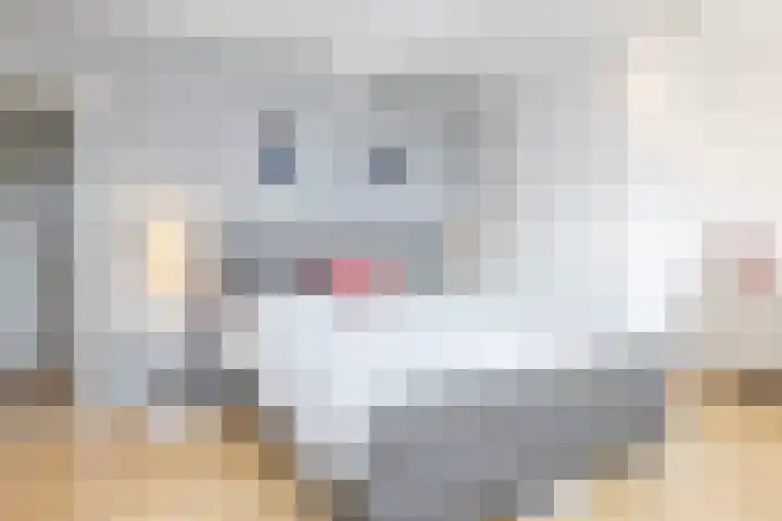 Mesweg 4 Hulsberg thumbnail 29