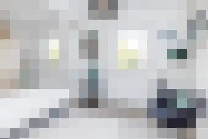 Mesweg 4 Hulsberg thumbnail 31