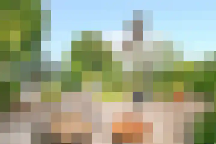Mesweg 8 Hulsberg thumbnail 21