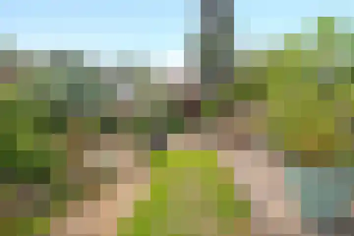 Mesweg 8 Hulsberg thumbnail 24