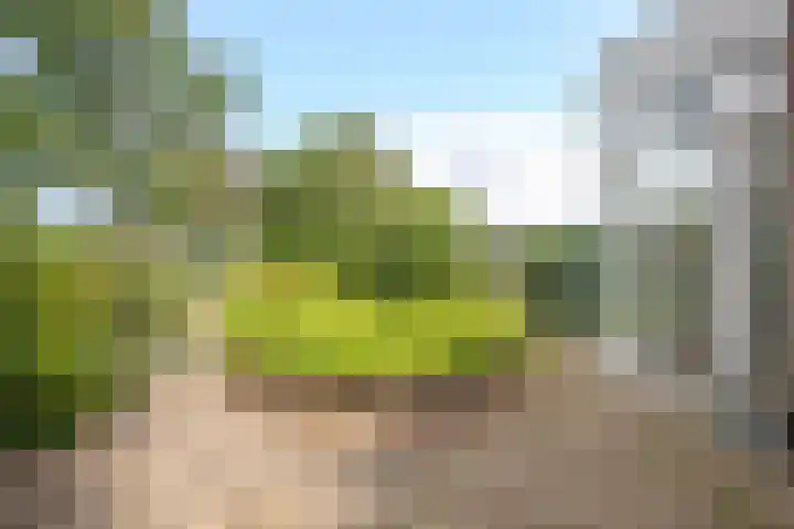 Mesweg 8 Hulsberg thumbnail 26