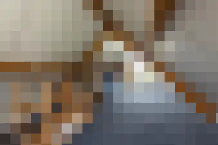 Meteoorbaan 9 Franeker thumbnail 26