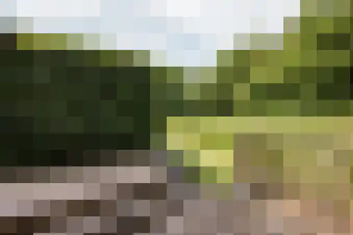 Meteoorbaan 9 Franeker thumbnail 37