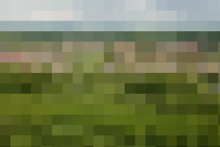 Meteoorbaan 9 Franeker thumbnail 40