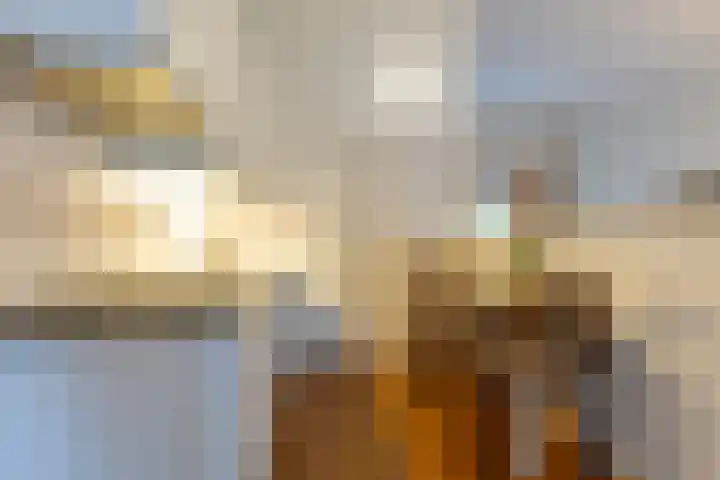 Meteoorhof 3 Sittard thumbnail 15