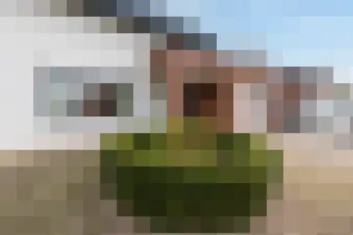 Meteoorhof 3 Sittard thumbnail 9