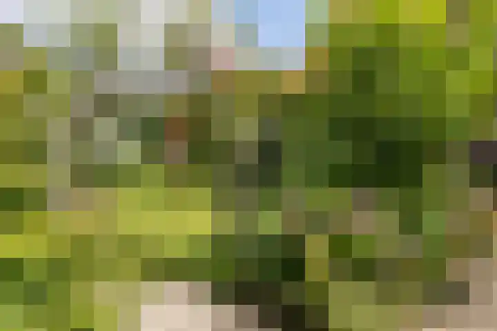 Meteoorstraat 2 Brunssum thumbnail 28