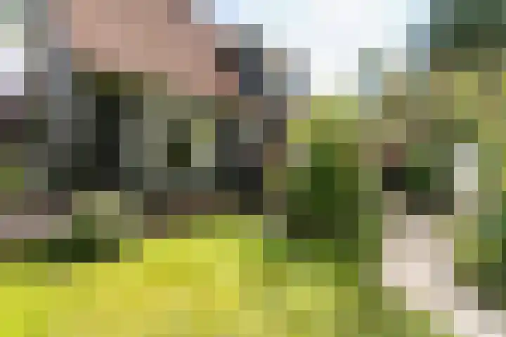 Meteoorstraat 2 Brunssum thumbnail 29