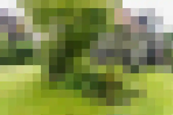 Meteoorstraat 2 Brunssum thumbnail 30