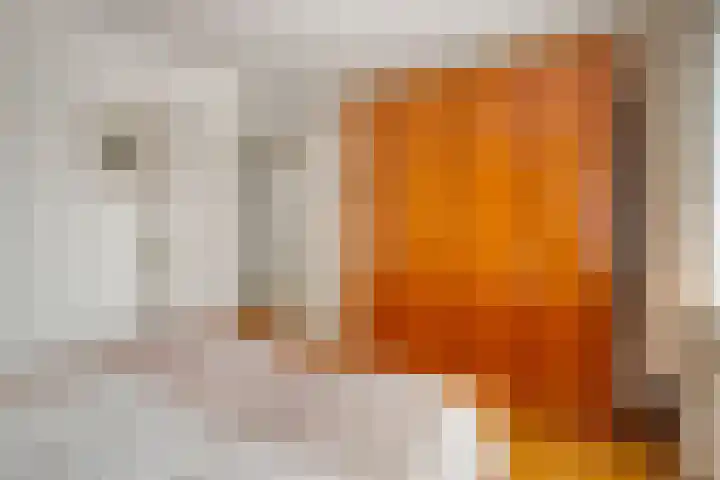Meterikseweg 34 Horst thumbnail 21
