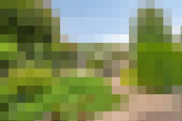 Meterikseweg 34 Horst thumbnail 31