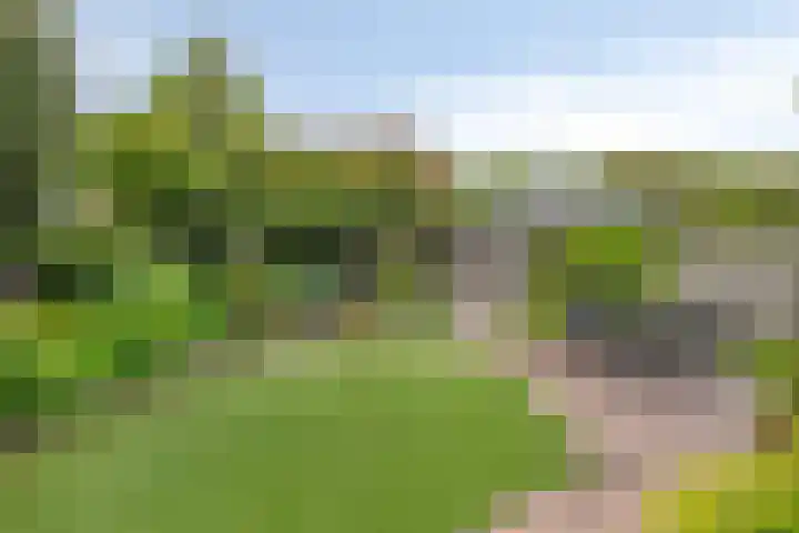 Meterikseweg 34 Horst thumbnail 32