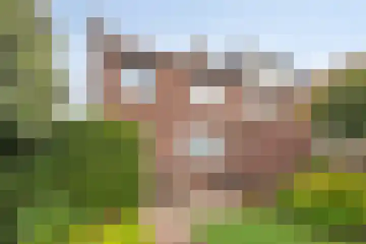 Meterikseweg 34 Horst thumbnail 36