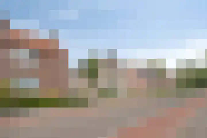 Meterikseweg 34 Horst thumbnail 4