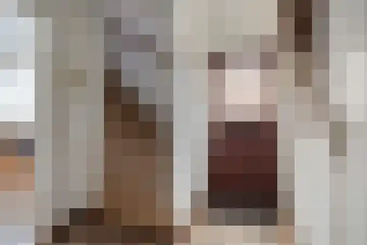 Meterikseweg 34 Horst thumbnail 8