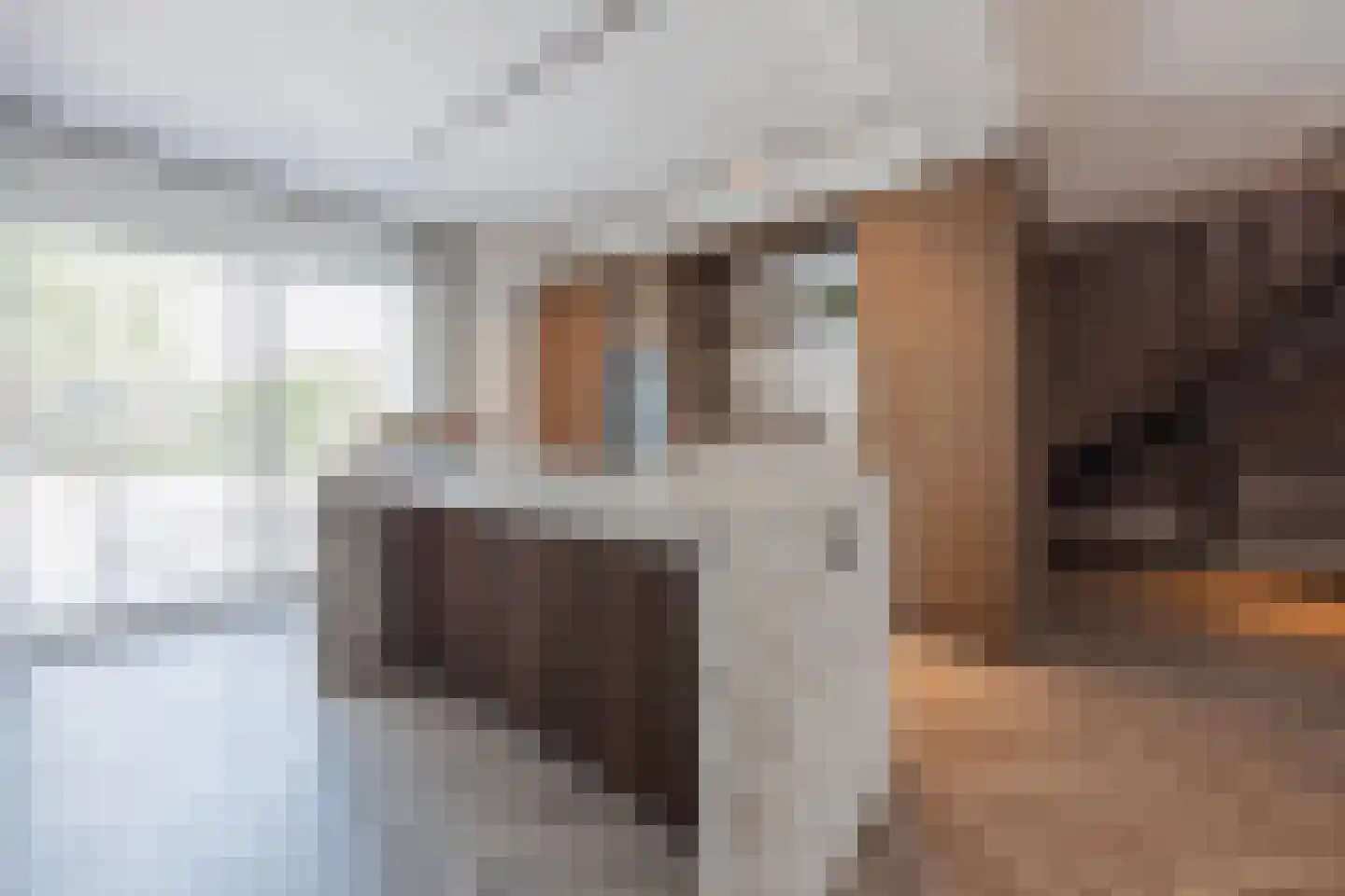 Meterikseweg 62 Horst thumbnail 14