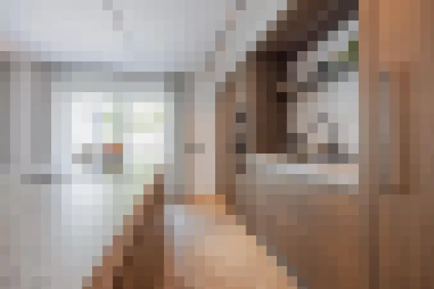 Meterikseweg 62 Horst thumbnail 15