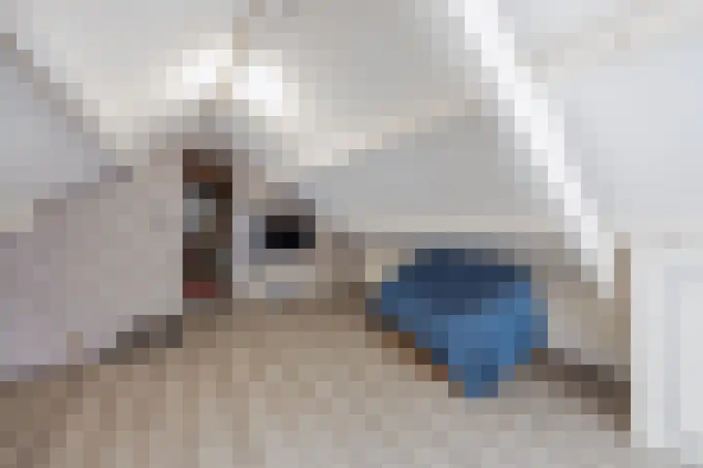 Meterikseweg 62 Horst thumbnail 32