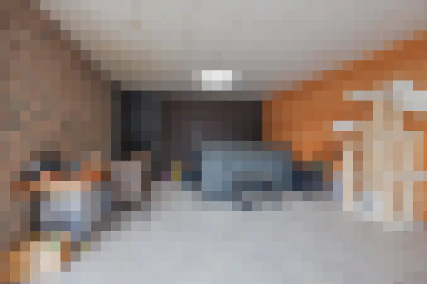 Meterikseweg 62 Horst thumbnail 38