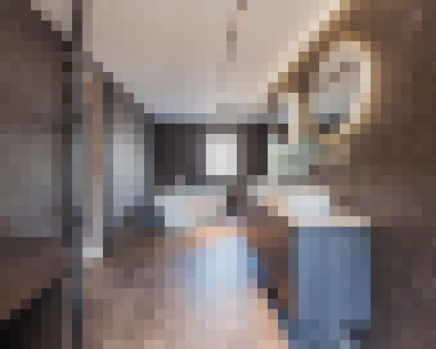 Meterikseweg 62 Horst thumbnail 5