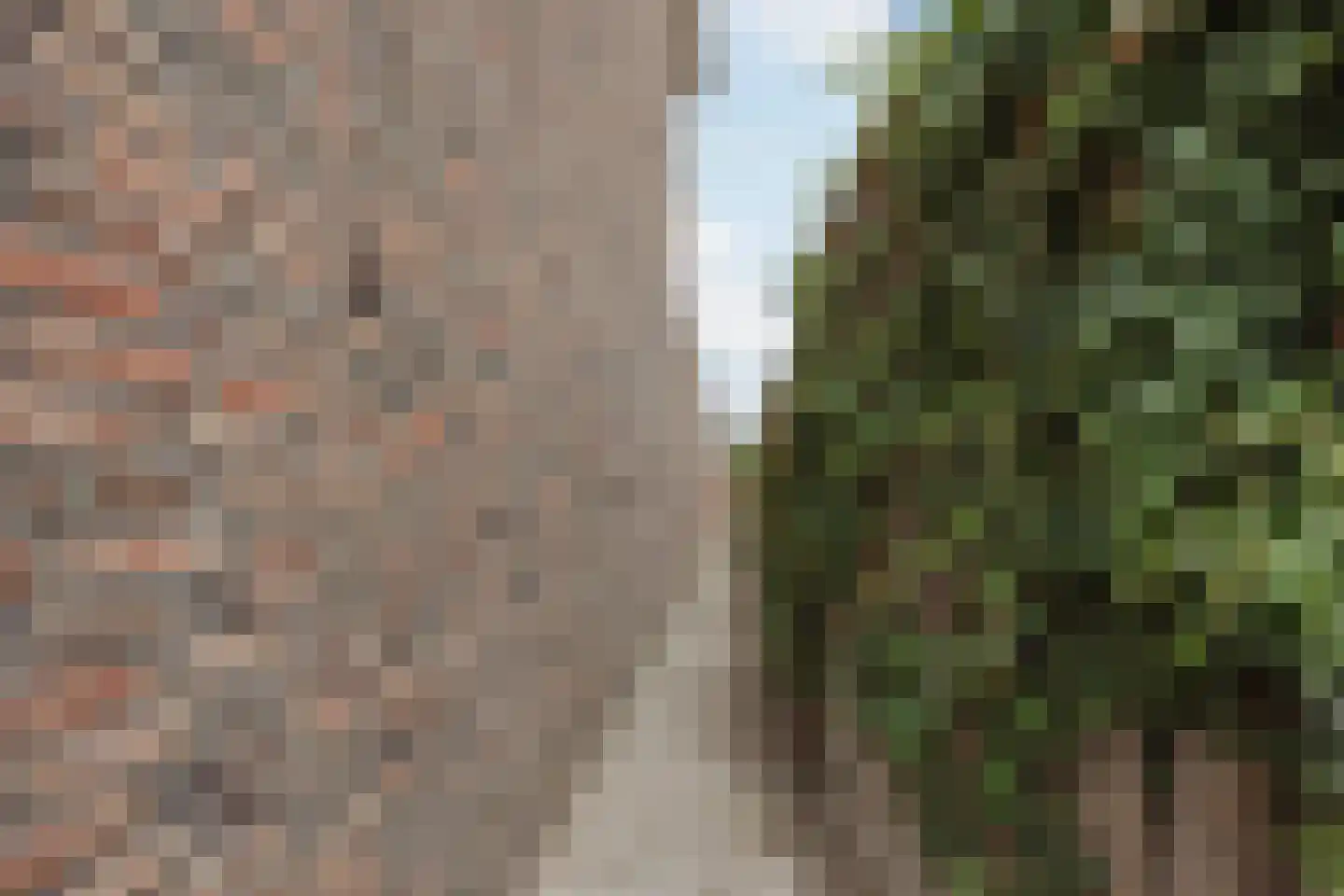 Meterikseweg 62 Horst thumbnail 58