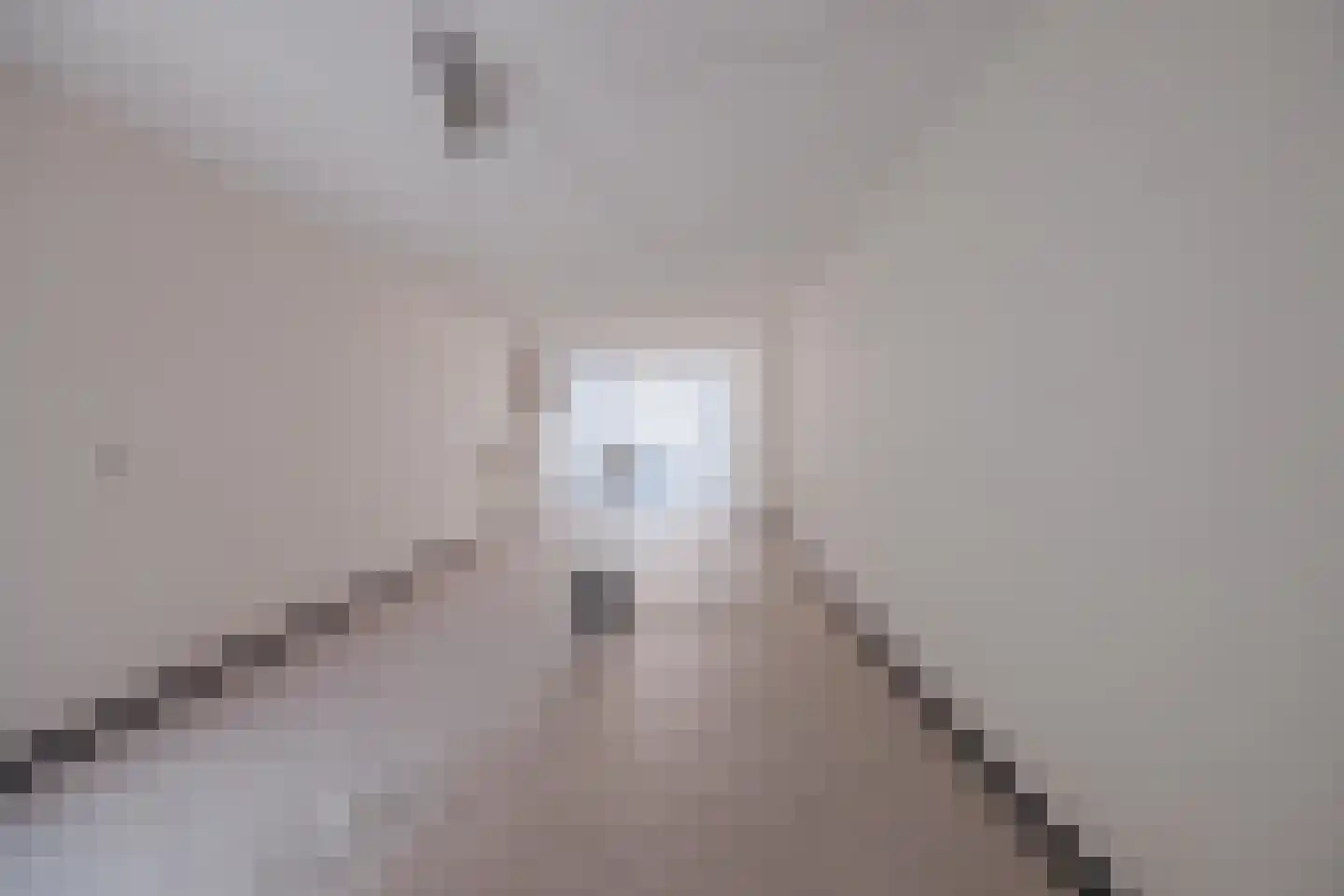 Meterikseweg 62 Horst thumbnail 61