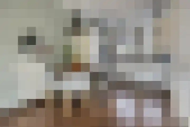 Metselaarsgilde 18 Dronten thumbnail 13