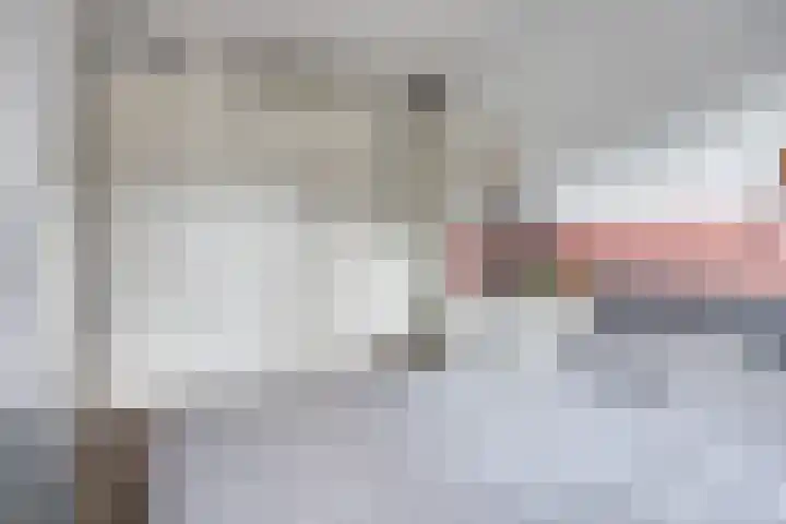 Metselaarsgilde 18 Dronten thumbnail 20