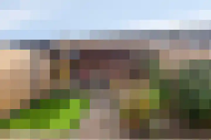 Metselaarsgilde 18 Dronten thumbnail 28