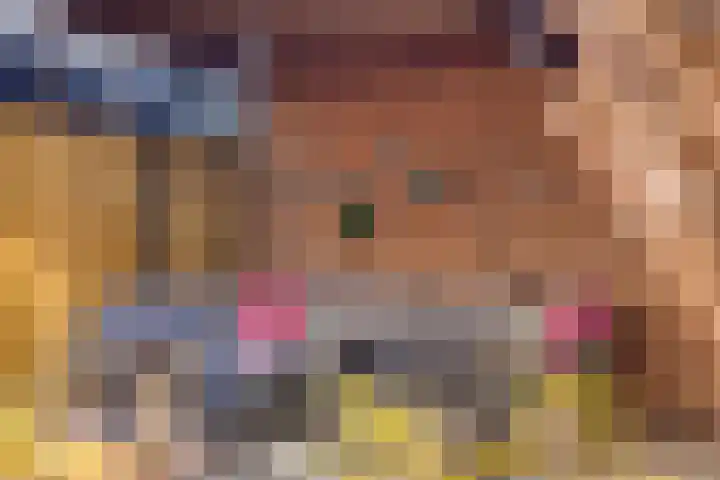Metselaarsgilde 18 Dronten thumbnail 32