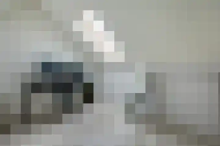 Metselaarsgilde 31 Dronten thumbnail 30