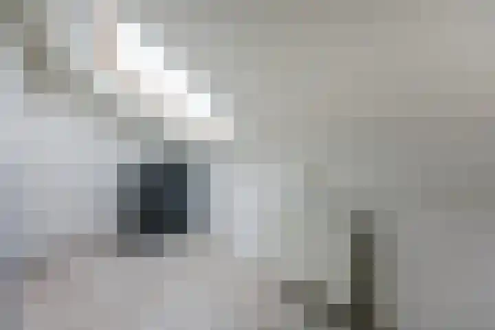 Metselaarsgilde 31 Dronten thumbnail 31