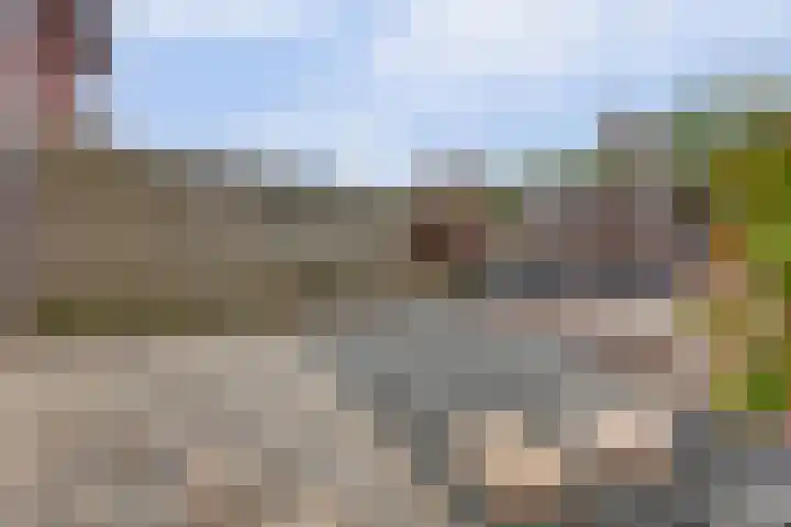 Metselaarsgilde 31 Dronten thumbnail 36