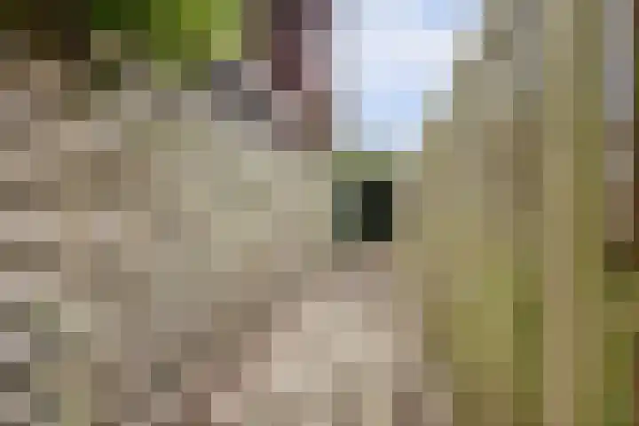 Metselaarsgilde 31 Dronten thumbnail 37