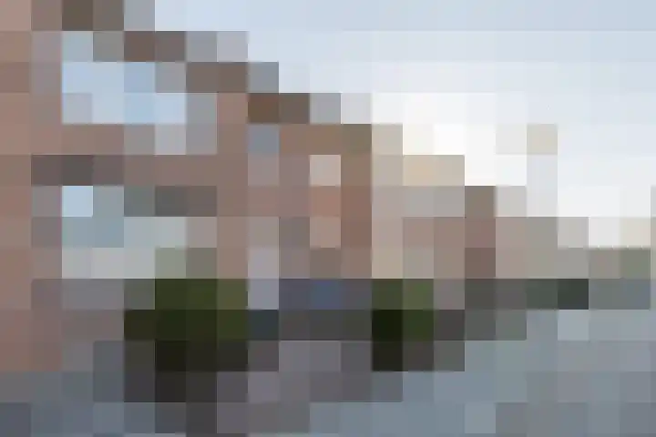 Mettebos 66 Brunssum thumbnail 30