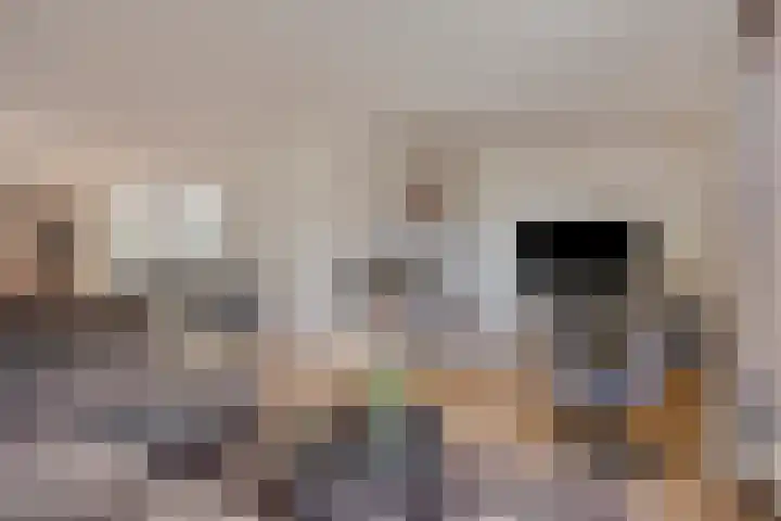 Meuleberg 41 Beesel thumbnail 12