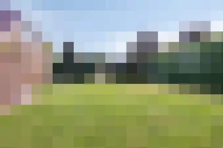 Meuleberg 41 Beesel thumbnail 50