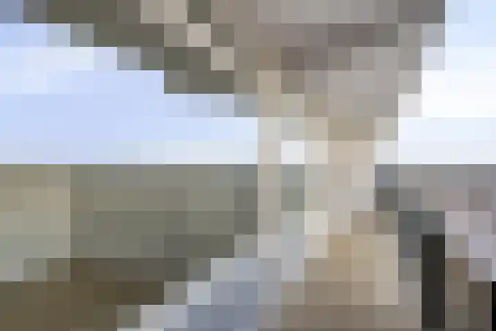 Meulemansstraat 129 Tilburg thumbnail 6
