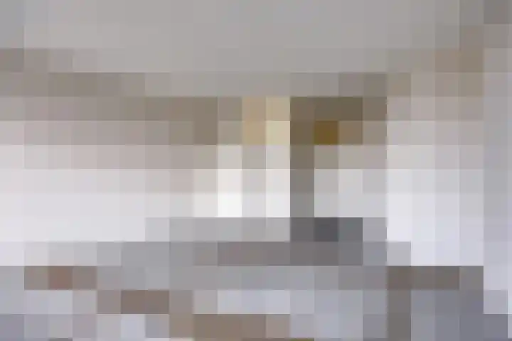 Meulemansstraat 129 Tilburg thumbnail 9