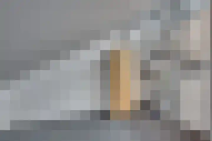 Meuleveldlaan 6 Venlo thumbnail 50