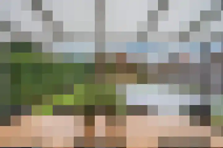 Meuleveldlaan 6 Venlo thumbnail 53