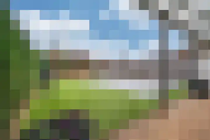 Meuleveldlaan 6 Venlo thumbnail 54