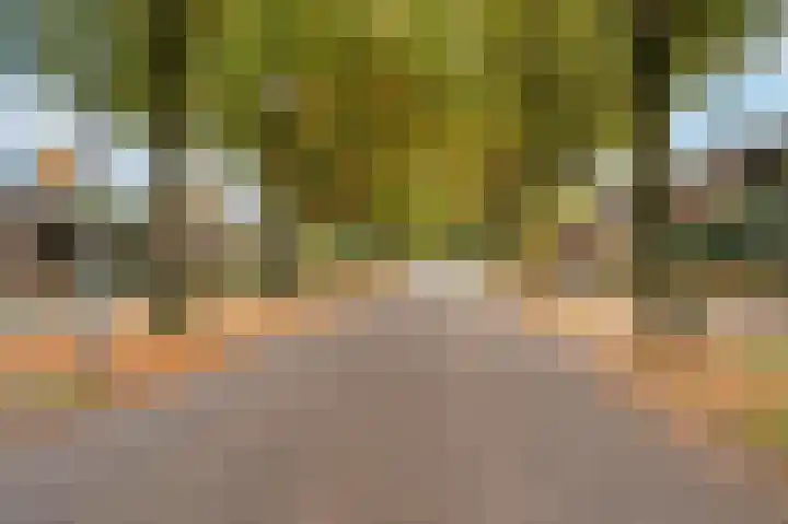 Meuleveldlaan 6 Venlo thumbnail 67