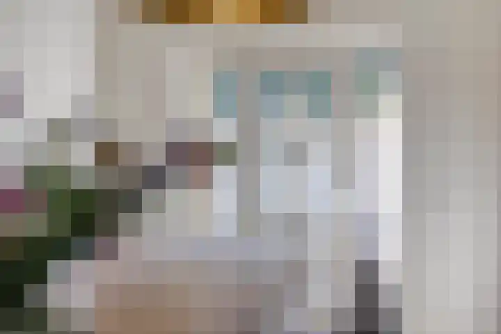 Meursstraat 5 Heesch thumbnail 17