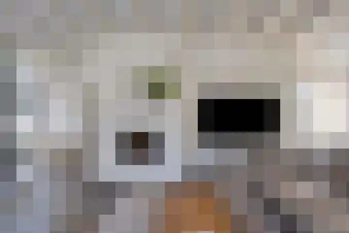 Meursstraat 5 Heesch thumbnail 22