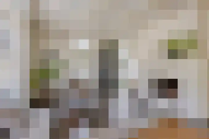 Meursstraat 5 Heesch thumbnail 23