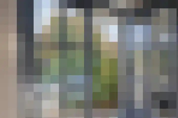 Meursstraat 5 Heesch thumbnail 28