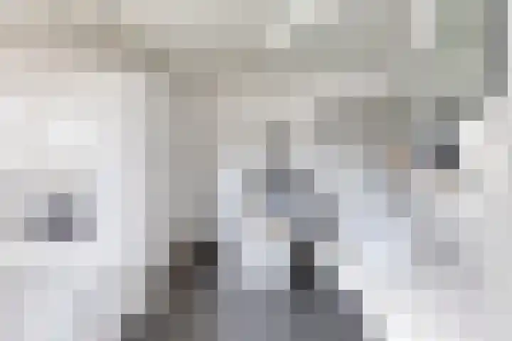 Meursstraat 5 Heesch thumbnail 30