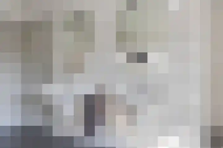 Meursstraat 5 Heesch thumbnail 31